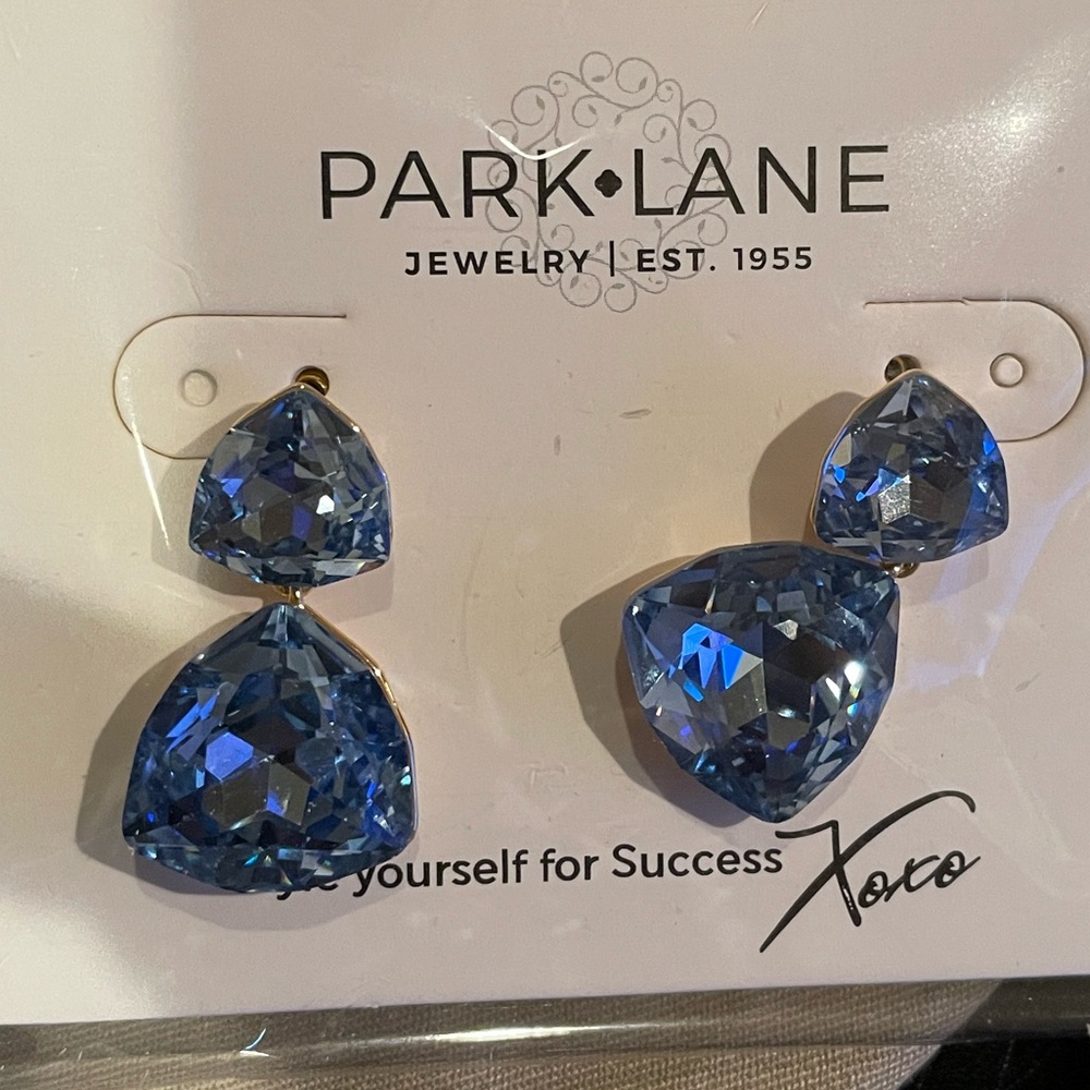 Park Lane “Perry” Earrings! (Aug. 2025 Elite Sparkle Box) Earrings Only! BNIB!!
